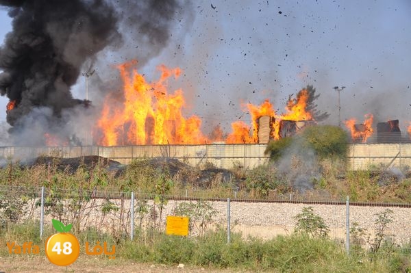 firecartoonsecnd506 (7).JPG